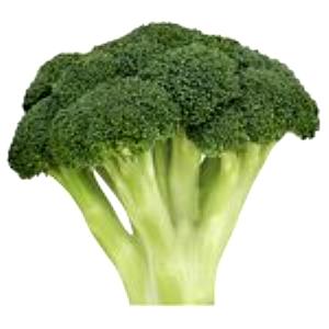 1 Spear (about 5" Long) Broccoli