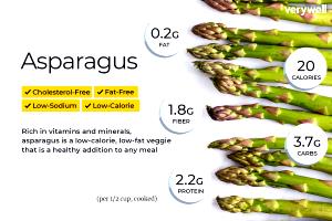1 Spear (about 5" Long) Cooked Asparagus (Canned)