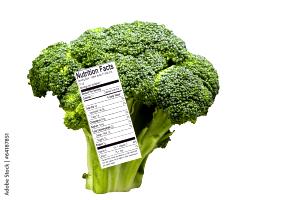 1 Spear Broccoli, Raw