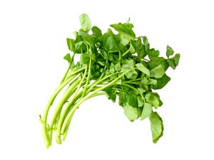 1 Sprig Watercress, Raw
