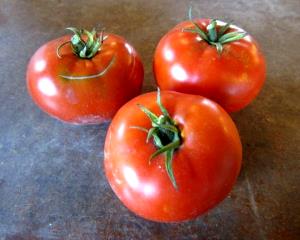 1 square (110 g) Tomato & Cheese Savory Square