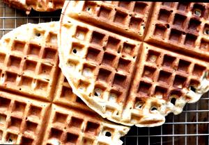 1 Square (4" Square) (include Frozen) Cornmeal Waffle