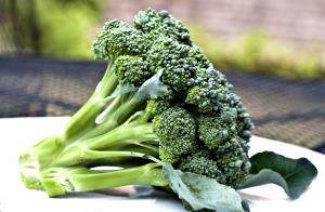1 Stalk Broccoli Stalks
