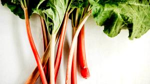 1 Stalk Rhubarb, Raw