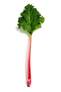 1 Stalk Rhubarb