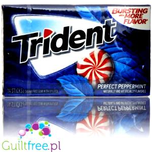 1 stick (1.9 g) Perfect Peppermint Gum