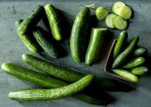 1 Stick, 4" Long Cucumber