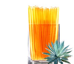 1 stick Agave Nectar Sticks