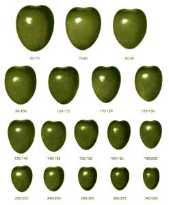 1 Super Colossal Olives (Jumbo-Super Colossal)