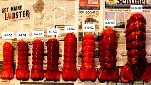 1 tail (4 oz) Lobster Tail