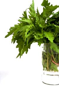 1 Tbsp. (0.8 G) Epazote