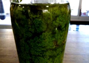 1 tbsp (15 g) Basil Pesto with Toasted Pine Nuts