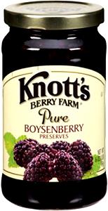 1 tbsp (20 g) Boysenberry Preserves