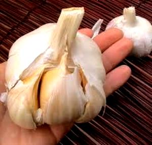 1 tbsp (4 g) Elephant Garlic Cloves