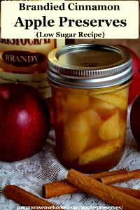 1 tbsp Apple Cinnamon Preserves