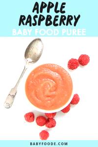 1 Tbsp Baby Food Apple Raspberry
