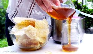 1 Tbsp Honey, Strained Or Extracted