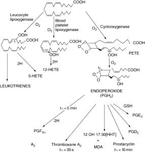 1 Tbsp Palm Kernel Oil, Industrial, Hydrogenated
