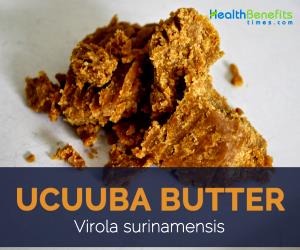 1 Tbsp Ucuhuba Vegetable Oil Butter