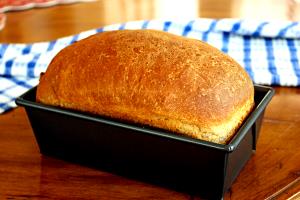 1 Thick Slice (3-3/4" X 5" X 5/8") Toasted Whole Wheat Bread (Home Recipe or Bakery)