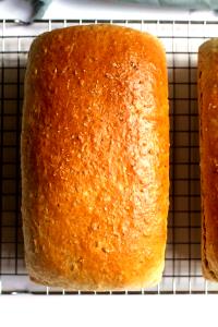 1 Thick Slice (3-3/4" X 5" X 5/8") Wheat or Cracked Wheat Bread (Home Recipe or Bakery)