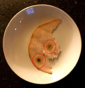 1 Thick Slice (approx 3" X 2" X 3/8") Light Turkey Meat (Skin Not Eaten)