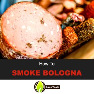 1 Thick Slice Smoked Bologna Ring