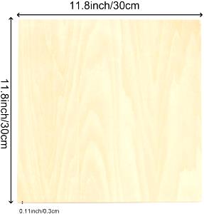 1 Thin Slice (approx 3" X 2" X 1/8") Turkey
