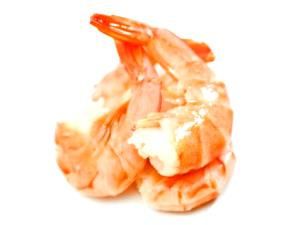 1 Tiny ("popcorn") Steamed or Boiled Shrimp