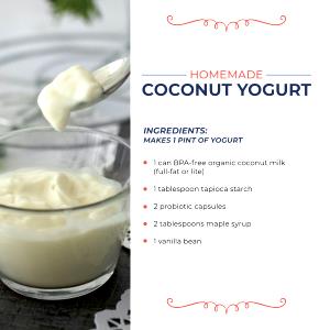 1 Total Recipe Coconut Milk Yogurt