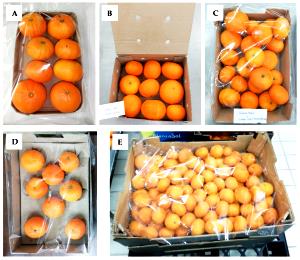1 tray (156 g) Fresh Fruit & Hatch Pepper Cheese