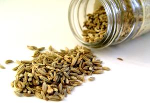 1 Tsp. (2.0 G) Fennel Seeds
