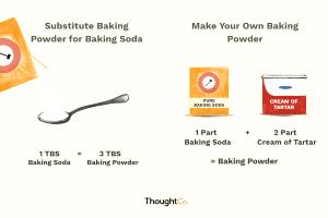 1 tsp (3 g) Baking Soda Substitute
