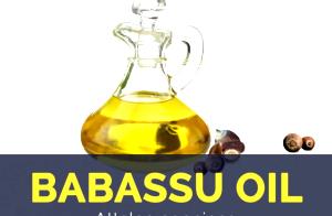 1 Tsp Babassu Vegetable Oil