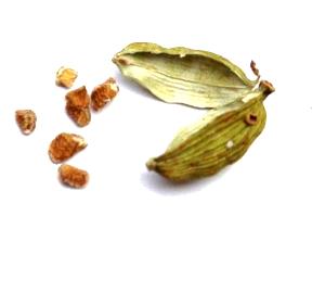 1 Tsp Cardamom Seed (Cardamon)