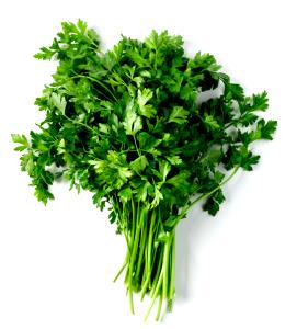 1 Tsp Chinese Parsley Leaf