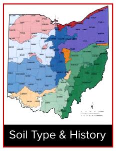 1 Tsp Mustard - Minneapolis, Columbus, Detroit & NE Ohio Regions