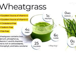 1 Tsp Wheat Grass