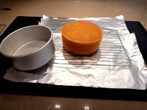 1 Tube (9" Dia, 3-3/4" High) Sponge Cake