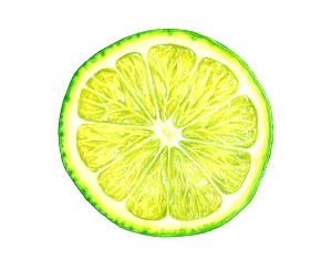 1 Wedge Or Slice (1/8 One 2" Dia Lime) Lime