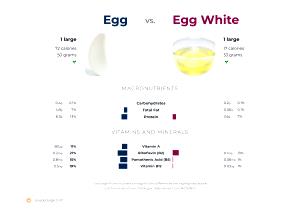 1 whole (33.0 g) Egg White, raw
