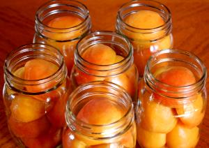 1 Whole Apricot With Liquid Apricot in Light Syrup (Cooked or Canned)