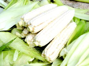 1 Whole, Medium (103.0 G) White Corn, cooked