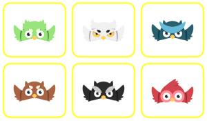 1 wrap Early Bird - Junior