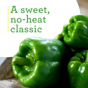 10 Oz Green Pepper, Sweet (Bell)