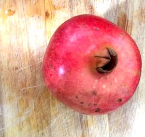10 pieces (40 g) Pomegranate Fruit Marvels