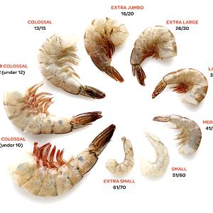 10 shrimp (90 g) Large Cooked Shrimp