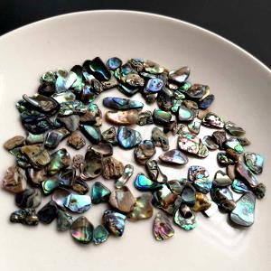 100 G Abalone