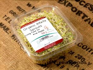 100 G Alfalfa Seeds (Sprouted)