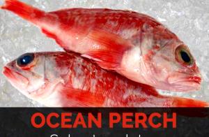 100 G Atlantic Ocean Perch (Cooked, Dry Heat)